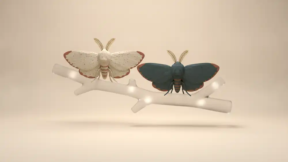 A pale clay moth and a dark teal clay moth resting side by side on a frosted glass branch